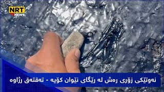 نەوتێکی زۆری رەش لە رێگای نێوان کۆیە - تەقتەق رژاوە و مەترسی لەسەر شۆفێران دروستکردووە