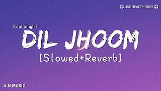 Dil Jhoom (Slowed+Reverb) | Arijit Singh | Gadar 2 | A.N MUSIC | #lyrics