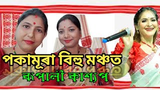 ৰূপালী কাশ্যপৰ সংগীতানুস্খান পকামূৰা পৰা 👩‍🎤 Rupali Kashyap's musical performance from Pakamura