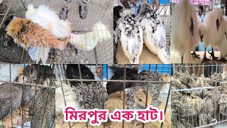 377 Mirpur 1 chicken hat। প্রচুর শীতেও জমজমাট মুরগির হাট । Shorif \u0026 Chicken BD।