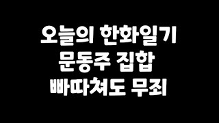 오늘의 한화이글스 일기 8월 6일 기아전