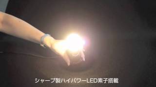 LEDクリア電球「影美人。」