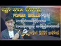 Forex Skills တွေကို ခြေခံထက်မြင့်သော အဆင့်များ ကိုသင်ကြားပေးမယ် အမြတ်မြန်မြန်ရှာနိုင်ရန်အတွက်