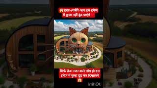 यहां एक बिल्ली नजर आ रही है आप कुता दिखाएं 🦮 😻#funny #viral #cat #dog #youtuber #youtubeshort