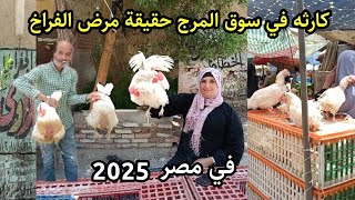 صدمة ! في سوق المرج مرض الفراخ يسبب انهيار الاسعار الفراخ والبط والسمك ببلاش قبل العيد🏃
