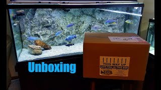 They Have Arrived! Fish Unboxing From Southeast Cichlids (Heavy Box)