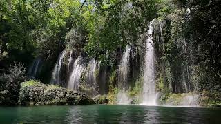 relax forest waterfall