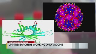 UNM scientists work to create COVID-19 vaccine