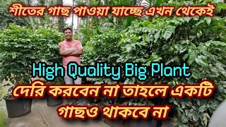 যদি গাছ কিনতেই হয় তাহলে ভালো গাছ কিনুন/High quality indoor plant nursery visit/