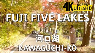 4K60 Fuji Five Lakes, Kawaguchi-ko - Autumn leaves - 2h from Tokyo