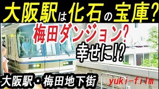 JR大阪駅にはアンモナイトの化石が多数!? 梅田地下街にも本物の化石!  もし見つけたら幸せに!? ハッピーアンモナイト　Ammonite,  Osaka station. Osaka/Japan.