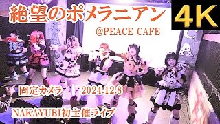 絶望のポメラニアン【４K,固定カメラ】2024.12.8・NAKAYUBI初主催ライブ・PEACECAFE