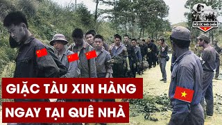 4 Trinh Sát Đi Lạc Giã 1 Tiểu Đoàn TQ Xin Hàng Ngay Trên Đất Tàu - Hồi Kí Việt Trung 1979 #1