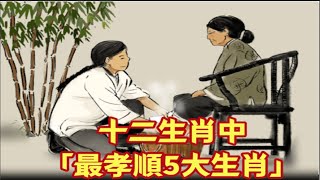 你家有嗎？十二生肖中「最孝順5大生肖」　百善孝為先，家庭是一個人得以躲避風雨的港灣，越孝順「財運越好」擋都擋不住