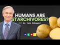 Doctor Reveals MIND-BLOWING Effects Of STARCH-BASED Diet