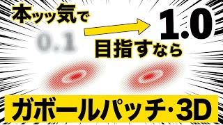 【驚くほど簡単な視力改善方法がここにある！】 ガボールパッチ \u0026 3D平行法 \u0026 遠近トレーニング