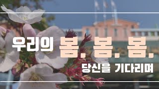 우리의 봄. 봄. 봄.(당신을 기다리며)