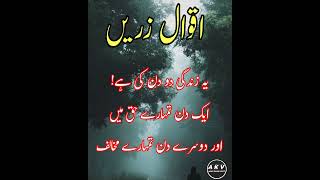 Aqwal e zareen | Aqwal e zareen urdu | islamic quotes #shorts