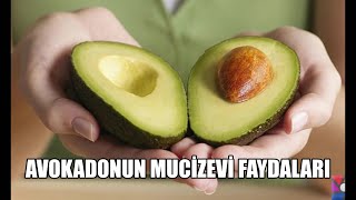 Avokado neye iyi geliyor? Avokadonun faydaları nelerdir AVOKADO NUN MUCİZEVİ FAYDALARI