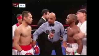 Nonito Donaire vs Moruti Mthalane ( Raul Marian Box )