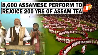 PM Modi In Assam: 8,600 Artists Perform To Celebrate 200 Years Of Tea Industry