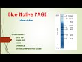 Blue Native PAGE