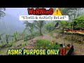 Nature Satisfying Relaxing Rain Asmr River Sounds Release Anxiety  Stress Alone Off Grid Jamaica!
