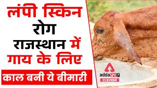 Lumpy Skin Disease : लंपी स्किन रोग | राजस्थान में गाय का लंपी रोग | Lumpy Skin Disease in Cattle