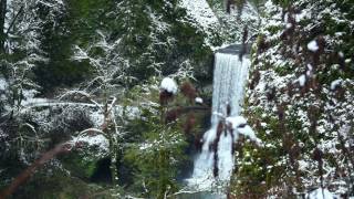 Silver Falls and Snow