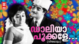 Daliya Pookkale - Nizhalattam (1970) | P Susheela | Prem Nazeer | Sheela