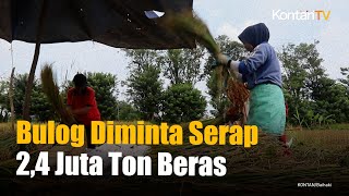 Badan Pangan Nasional Tugaskan Bulog Serap Beras Petani 2,4 Juta Ton di 2024 | KONTAN News