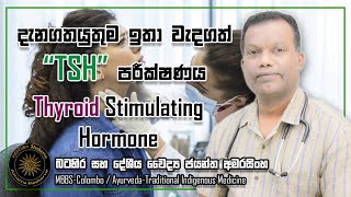දැනගතයුතුම ඉතා වැදගත් TSH - පරීක්ෂණය | Thyroid Stimulating Hormone