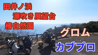 【再編集投稿】　カブプロ＆グロムで行く徳島の林道 田井ノ浜・潮吹き展望台・椿自然園編（Insta360 ONE RS 1インチ 360度版）