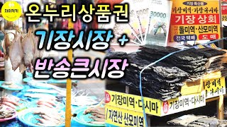 (기장시장 \u0026 반송큰시장) 온누리상품권으로 부산 전통 재래시장 장보기 [와이키키 남매의 스터디 스토리] WaiKiki Study Story