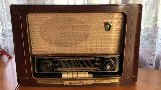 RADIO GRUNDIG 2043W 3D