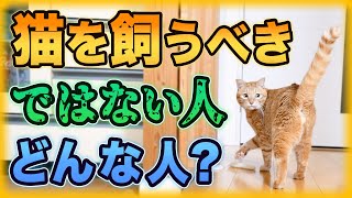 猫を飼うべきではない人の特徴6選