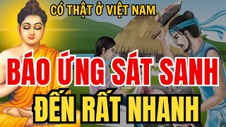 SÁT SANH HẠI MẠNG Báo Ứng Đến Rất Nhanh, 10 Chuyện Nhân Quả Phật Giáo Hay Nhất _ Kể Truyện Đêm Khuya