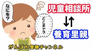 【児童相談所と養育里親の役割】現役の養育里親が語ります#49