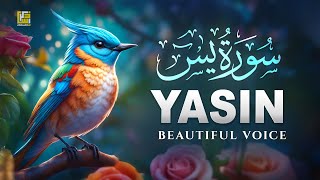 Surah Yasin (Yaseen) سورة يس | Relaxing Soothing Healing Quran Recitation | Zikrullah TV