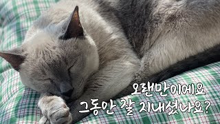 안녕하세요, 정말 오랜만이에요.