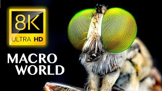 SUPER MACRO WORLD in 8K ULTRA HD