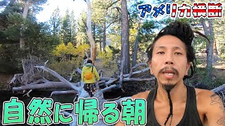 【アメリカ横断】大自然の恵み☆ヨセミテ国立公園近くのキャンプ場で朝の散歩【のびたび】アメリカ横断キャンピングカーの旅Vlog編集版