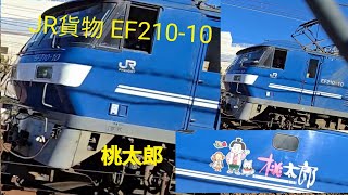 JR貨物EF210-10🍑桃太郎貨物に手を振る私の〜影あり〜ꉂ🤣𐤔𐤔