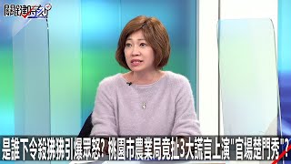 是誰下令殺狒狒引爆眾怒？ 桃園市農業局竟扯3大謊言上演「官場楚門秀」？-0328【關鍵時刻2200精彩3分鐘】