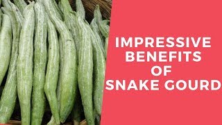 Know about the impressive benefits of snake gourd