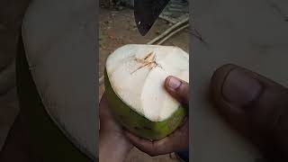 Tender coconut