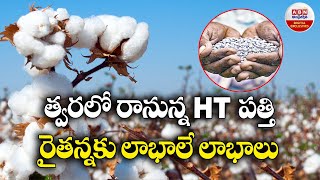 Htbt Cotton Seeds: త్వరలో రానున్న HT పత్తి రైతన్నకు లాభాలే లాభాలు || ABN Digital