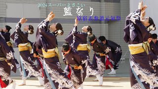 藍なり　原宿スーパーよさこい2024　1日目　代々木公園ステージ　8月24日（土）