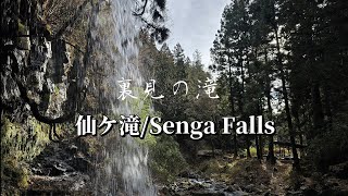 仙ケ滝/裏見の景観も美しい✨/ 群馬県安中市/Waterfall in Gunma prefecture in Japan/View from behind the waterfall