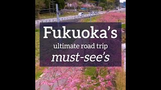 Fukuoka’s ultimate road trip must-see’s